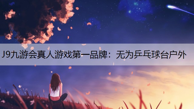 无为乒乓球台户外